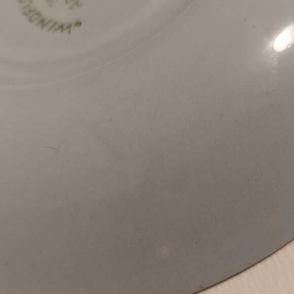 Vintage Handpainted Arabia Finland Windflower Teacup and Saucer with Flaw - Picture 13 of 13